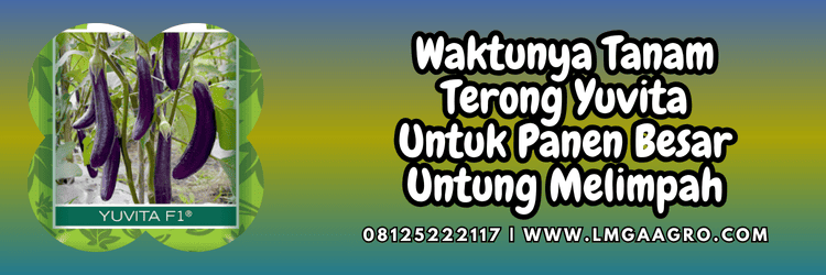 jual,murah,terjangkau,toko pertanian terdekat,lmga agro
