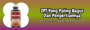 zat pengatur tumbuh,produk zat pengatur tumbuh,petani,bertani,lmga agro