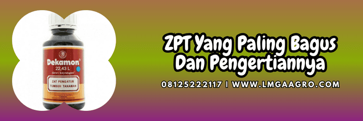 zat pengatur tumbuh,produk zat pengatur tumbuh,petani,bertani,lmga agro