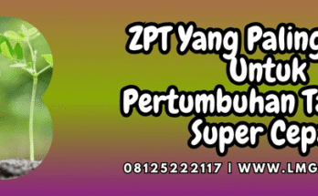 zpt,paling,bagus,zpt yang paling bagus,lmga agro