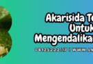 akarisida terbaik,akarisida,terbaik,pestisida,lmga agro