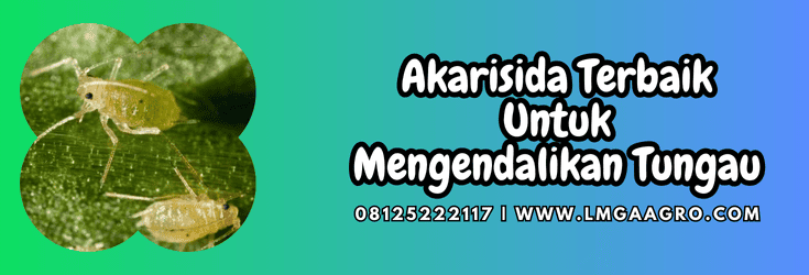 akarisida terbaik,akarisida,terbaik,pestisida,lmga agro