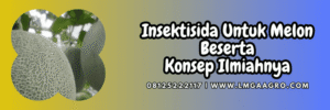 pestisida,pestisida jenis insektisida,hama,serangga,lmga agro