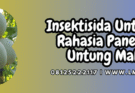 insektisida untuk melon,insektisida,melon,insektisida melon,lmga agro