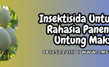 insektisida untuk melon,insektisida,melon,insektisida melon,lmga agro