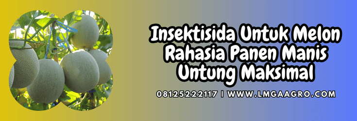 insektisida untuk melon,insektisida,melon,insektisida melon,lmga agro