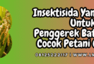 insektisida yang ampuh untuk penggerek batang padi,pestisida,insektisida,penggerek batang,padi,lmga agro