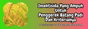 pestisida jenis insektisida,hama penggerek batang,pestisida jenis insektisida,tanaman,tanaman padi,lmga agro