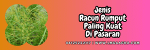 jenis,dosis,produk,petani,budidaya,tanaman,lmga agro