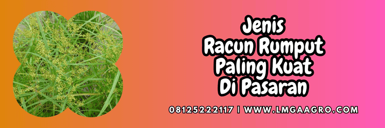 jenis,dosis,produk,petani,budidaya,tanaman,lmga agro