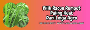jual,murah,terjangkau,toko pertanian terdekat,lmga agro