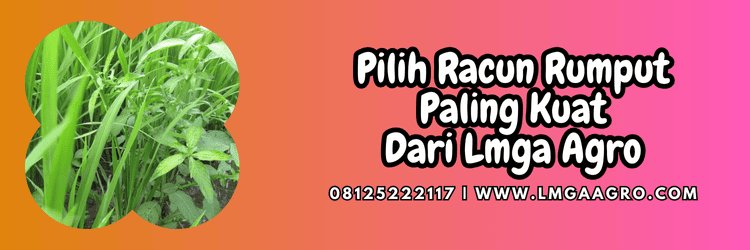 jual,murah,terjangkau,toko pertanian terdekat,lmga agro