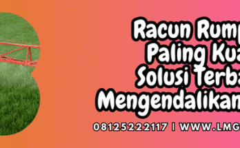 racun rumput paling kuat,racun rumput,herbisida,pestisida,lmga agro