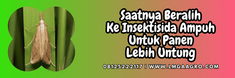 jual,murah,terjangkau,toko pertanian terdekat,lmga agro