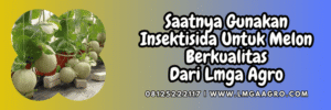 jual,murah,terjangkau,toko pertanian terdekat,lmga agro
