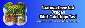 jual,murah,terjangkau,toko pertanian terdekat,lmga agro