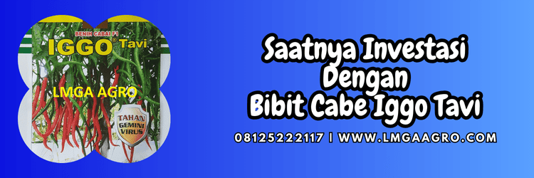jual,murah,terjangkau,toko pertanian terdekat,lmga agro