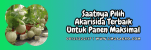 jual,murah,terjangkau,toko pertanian terdekat,lmga agro