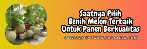 jual,murah,terjangkau,toko pertanian terdekat,lmga agro