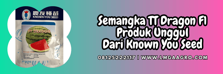 semangka berbiji,semangka hibrida,known you seed,tt dragon known you seed,lmga agro