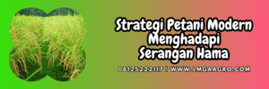 strategi,petani,serangan,hama,lmga agro