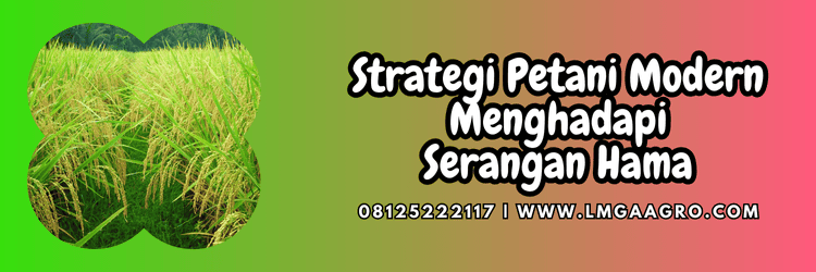 strategi,petani,serangan,hama,lmga agro