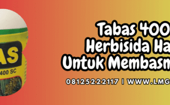 tabas,tabas 400 sc,pestisida,herbisida,lmga agro