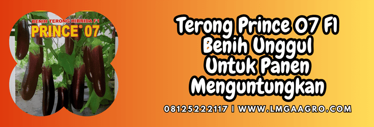 terong prince,terong,prince,terong prince 07lmga agro