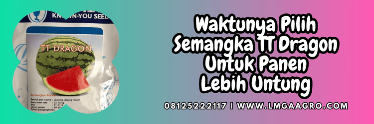 jual,murah,terjangkau,toko pertanian terdekat,lmga agro