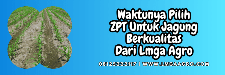 jual,murah,terjangkau,toko pertanian terdekat,lmga agro