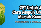 zpt untuk jagung,zpt,jagung,zat pengatur tumbuh,lmga agro