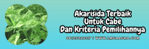 hama,tungau,pestisida,pestisida jenis akarisida,lmga agro