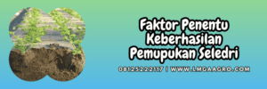 faktor,penentu,pemupukan,aplikasi pupuk,lmga agro