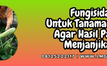 fungisida untuk tanaman pare,fungisida,tanaman,pare,lmga agro