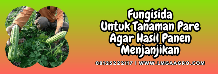 fungisida untuk tanaman pare,fungisida,tanaman,pare,lmga agro