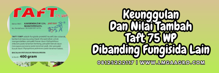 keunggulan,kelebihan,pestisida,pestisida jenis fungisida,lmga agro