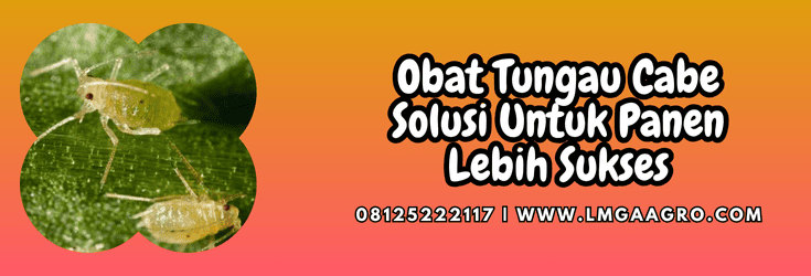 obat tungau cabe,obat,tungau,cabe,lmga agro