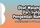 obat walang sangit dari syngenta,obat,walang sangit,syngenta,lmga agro