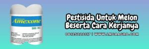 petani,cara kerja,obat,hama,penyakit,tanaman melon,lmga agro
