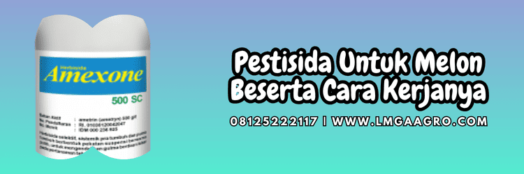 petani,cara kerja,obat,hama,penyakit,tanaman melon,lmga agro