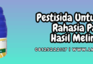pestisida untuk melon,pestisida,melon,tanaman,lmga agro