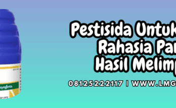 pestisida untuk melon,pestisida,melon,tanaman,lmga agro