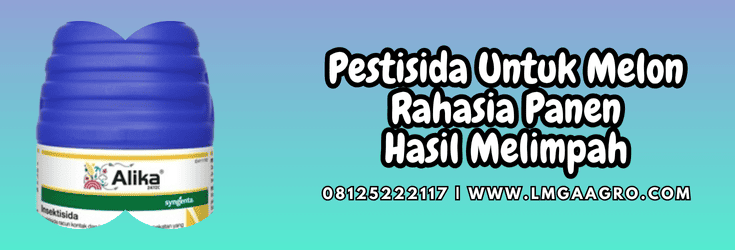pestisida untuk melon,pestisida,melon,tanaman,lmga agro