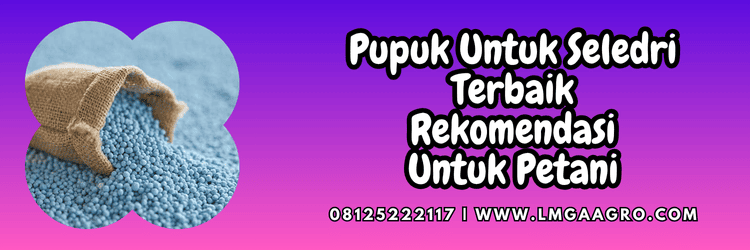 produk,budidaya,tanaman,budidaya seledri,petani,lmga agro