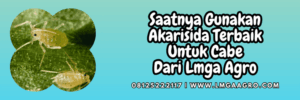 jual,murah,terjangkau,toko pertanian terdekat,lmga agro