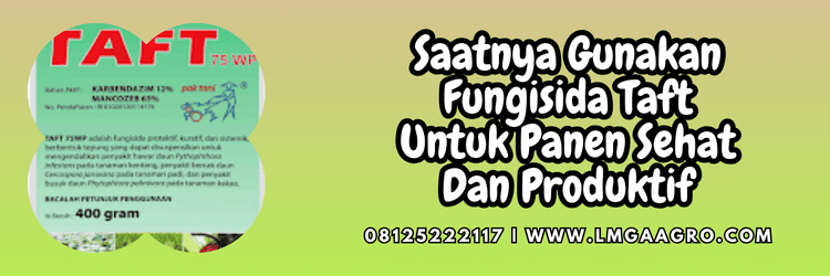 jual,murah,terjangkau,toko pertanian terdekat,lmga agro