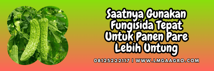 jual,murah,terjangkau,toko pertanian terdekat,lmga agro