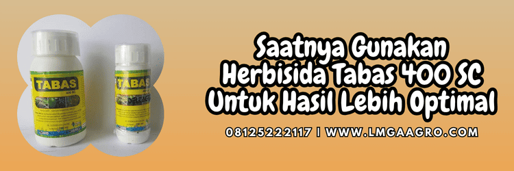 jual,murah,terjangkau,toko pertanian terdekat,lmga agro