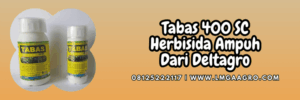 herbisida tabas,tabas herbisida,tabas deltagro,rumput liar,gulma,lmga agro