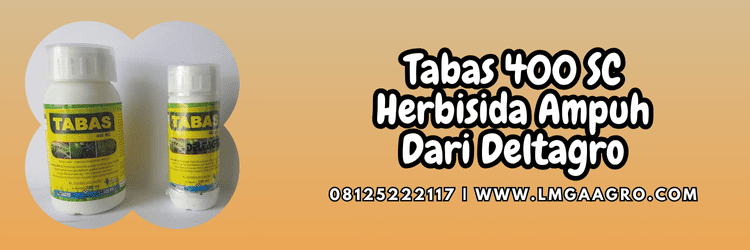 herbisida tabas,tabas herbisida,tabas deltagro,rumput liar,gulma,lmga agro